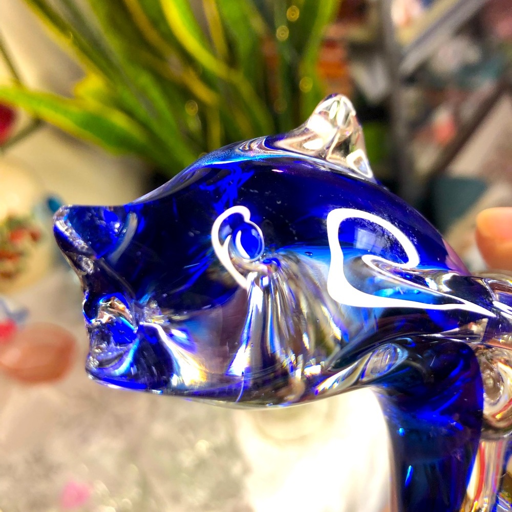 Shark or dolphin?